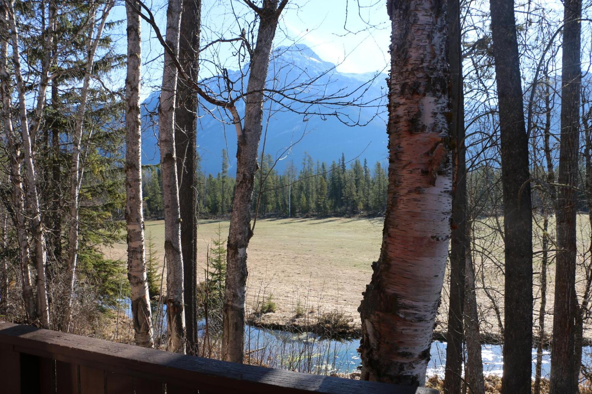 Rocky Mountain Cabins And Home Golden Esterno foto